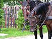 Jerez, Horse Festival