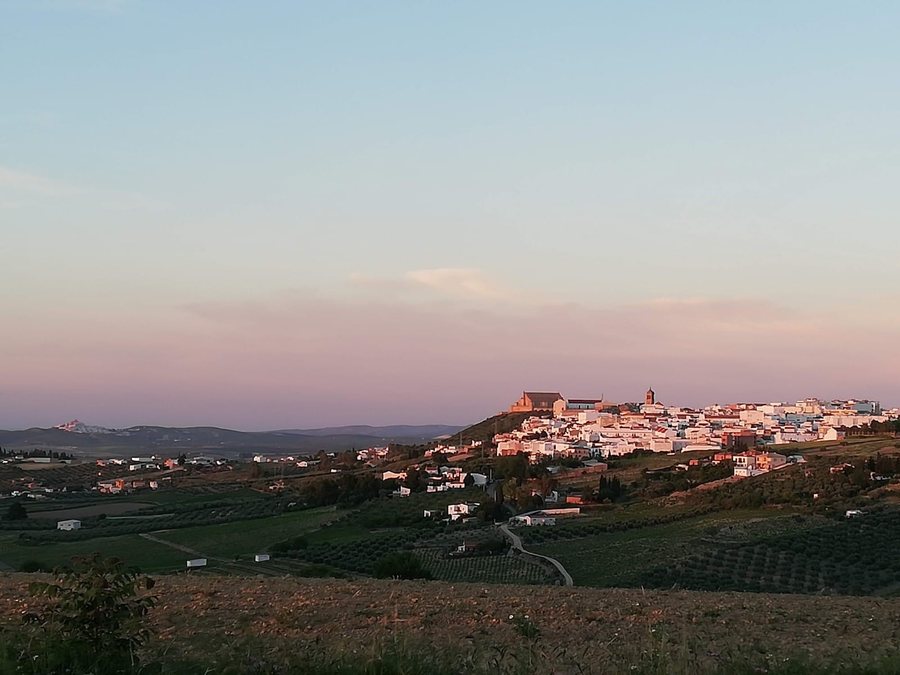 File:Montilla, Spain.jpg