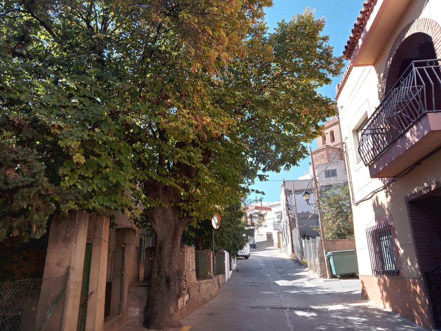 File:Calles de Abrucena 03.jpg