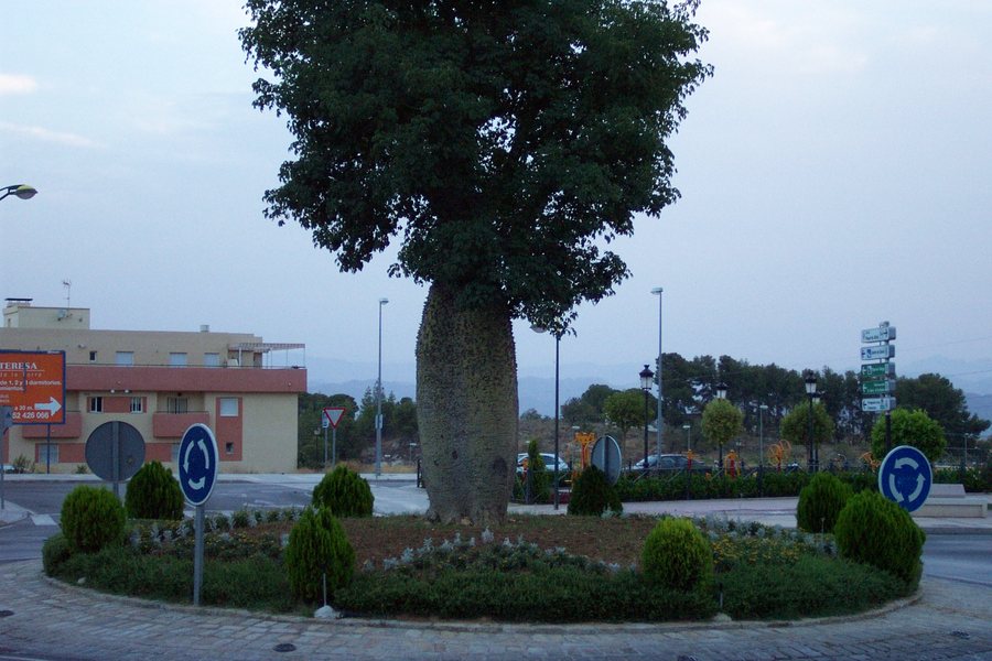 File:Avenida de Cristóbal Colón, Alhaurín de la Torre, España 01.JPG