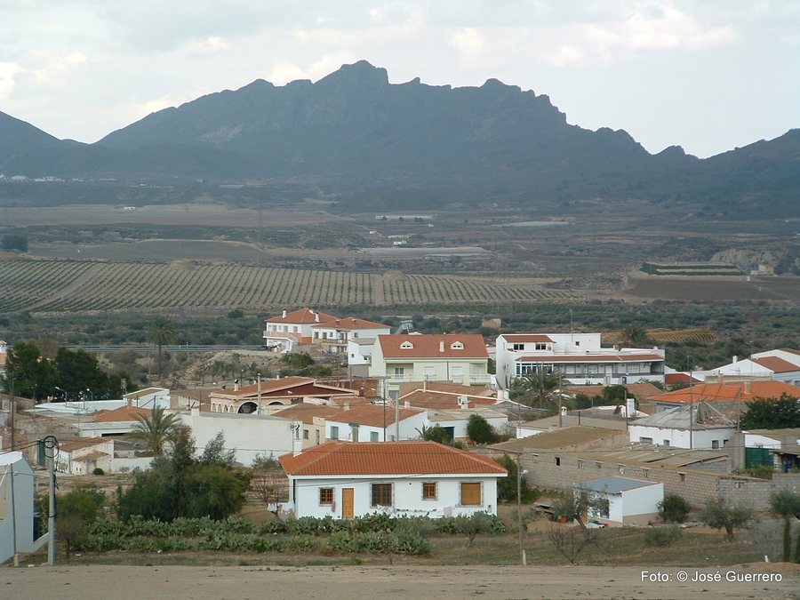 File:01 Guazamara.jpg