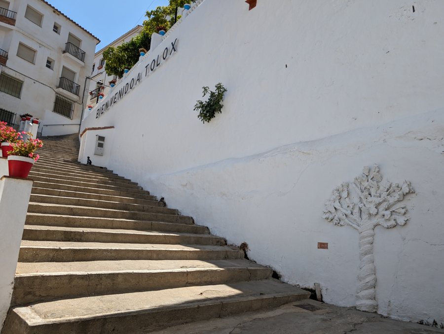 File:Tolox (2024-06-14) 15.jpg