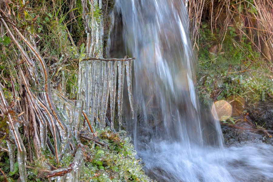 File:Ice coated plants by a small stream in Soportújar, Sierra Nevada National Park (DSCF5955).jpg