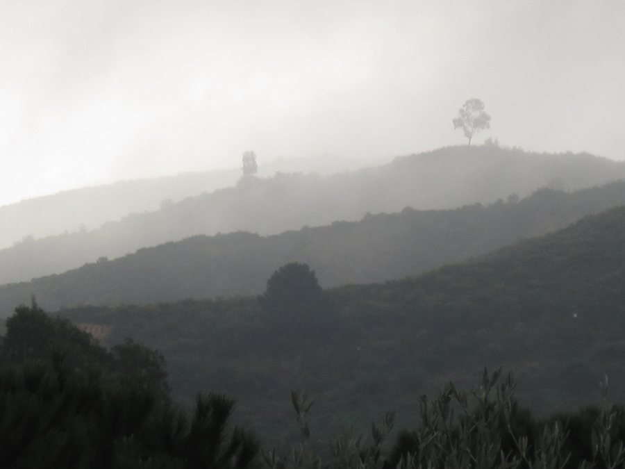 File:La Cala de Mijas at sunrise, Cala de Mijas, Spain.jpg