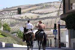Weiße Häuser mit Terrakottadächern in einem andalusischen Dorf