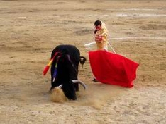 Corrida in Andalusia