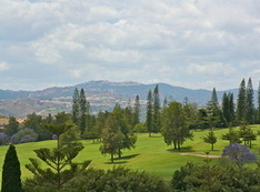 Golf in Andalusia