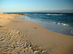 Andalusian beach