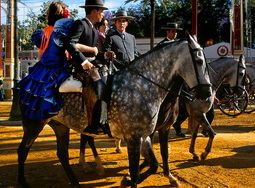 Fair in Andalusia