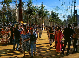 Events in Andalusia